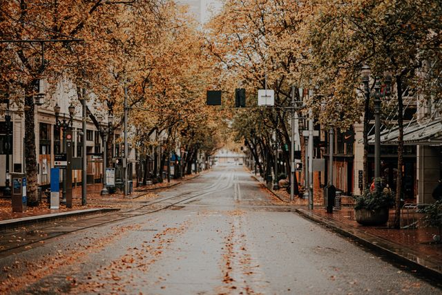 Tree-lined street in Roseville, CA